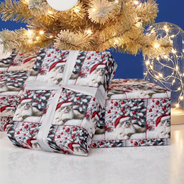 Weihnachts-Ragdoll-Katze In einer Weihnachtsmannmü Geschenkpapier (Feiertage)