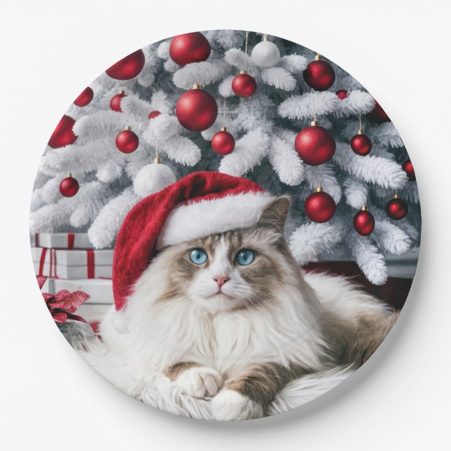 Weihnachts-Ragdoll-Katze In einer Weihnachtsmannmü Pappteller (Vorderseite)