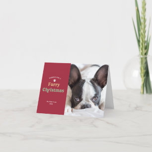 Weihnachts Red Dog oder Cat Holiday Foto Card Feiertagskarte