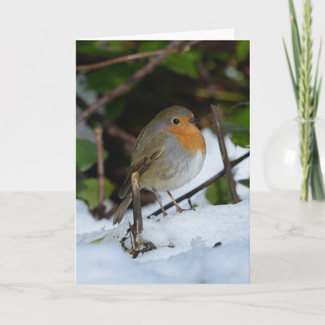 Weihnachts-Robin im Schnee Karte (Vorderseite)