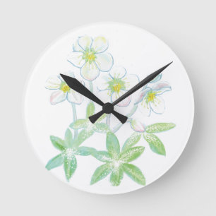 Weihnachts-Rose, Helleborus niger Illustration Runde Wanduhr
