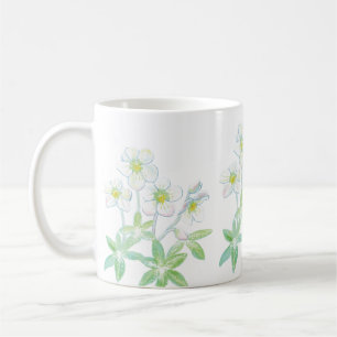 Weihnachts-Rose, Helleborus niger Kaffeetasse