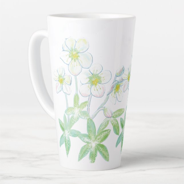 Weihnachts-Rose, Helleborus niger Milchtasse (Linke Ecke)