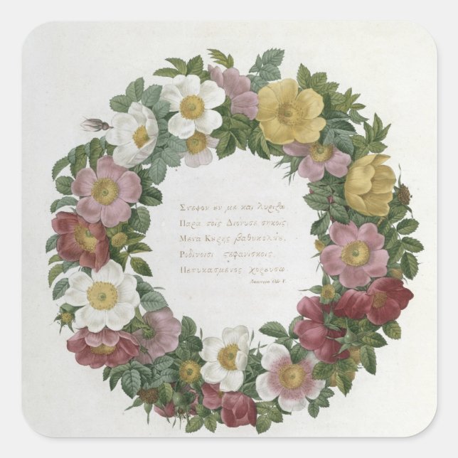 Weihnachts-Rose Quadratischer Aufkleber (Vorderseite)