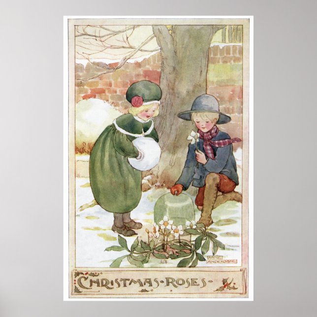 Weihnachts-Rose von Anne Anderson Poster (Vorne)