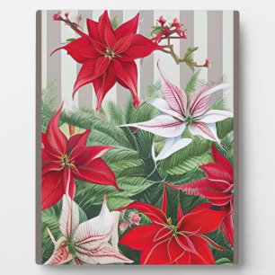 Weihnachts-Rote Amaryllis und Poinsettias Fotoplatte