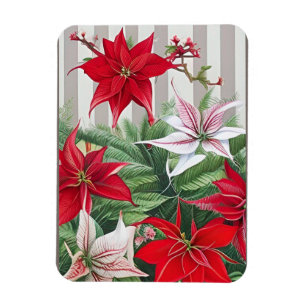 Weihnachts-Rote Amaryllis und Poinsettias Magnet