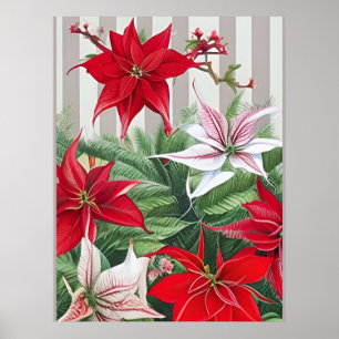Weihnachts-Rote Amaryllis und Poinsettias Poster