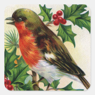 Weihnachts-Rotkehlchen Vintage-Illustration Quadratischer Aufkleber
