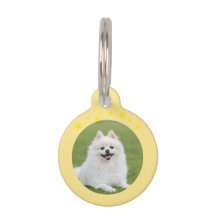 Weihnachts-Rundum-Pet-Tag – Festliches Feiertags-I