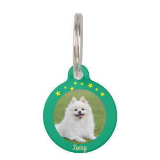 Weihnachts-Rundum-Pet-Tag – Festliches Holiday-ID- Haustiermarke