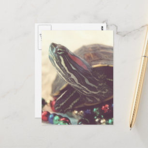 Weihnachts-Schildkröte Postkarte
