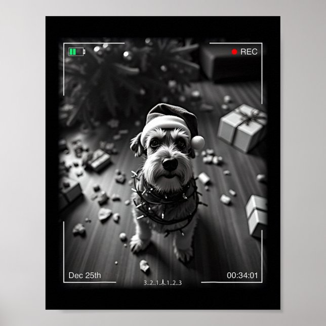 Weihnachts-Schnauzer auf Kamera erwischt Poster (Vorne)