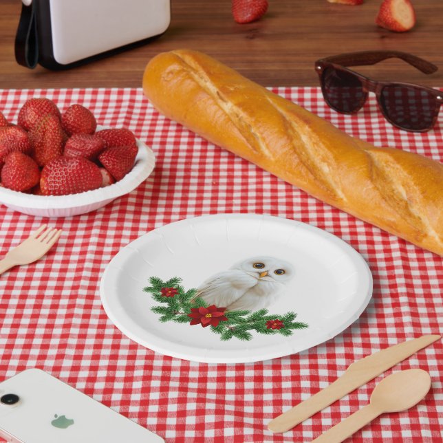 Weihnachts-Schnee-Eule Pappteller (Picknick)