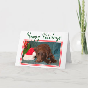 Weihnachts-Schokoladen-Labrador und Weihnachtsmann Feiertagskarte