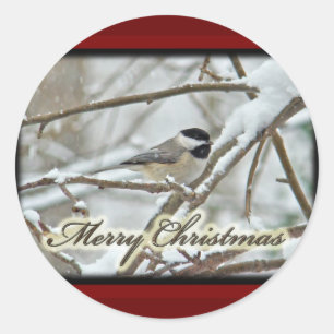 Weihnachts-Schwarz-Chickadee im Schnee Runder Aufkleber