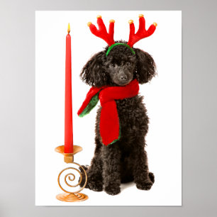 Weihnachts-Schwarzspielzeug-Poodle-Hund als Rentie Poster