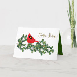 Weihnachts-Segnung Roter Kardinal auf Kiefernzweig Feiertagskarte