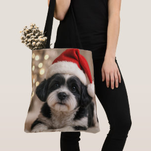 Weihnachts-Shih-Tzu-Hund mit Santa-Hut