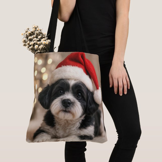 Weihnachts-Shih-Tzu-Hund mit Santa-Hut (Von Nahem)