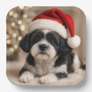Weihnachts-Shih-Tzu-Hund mit Santa-Hut Pappteller