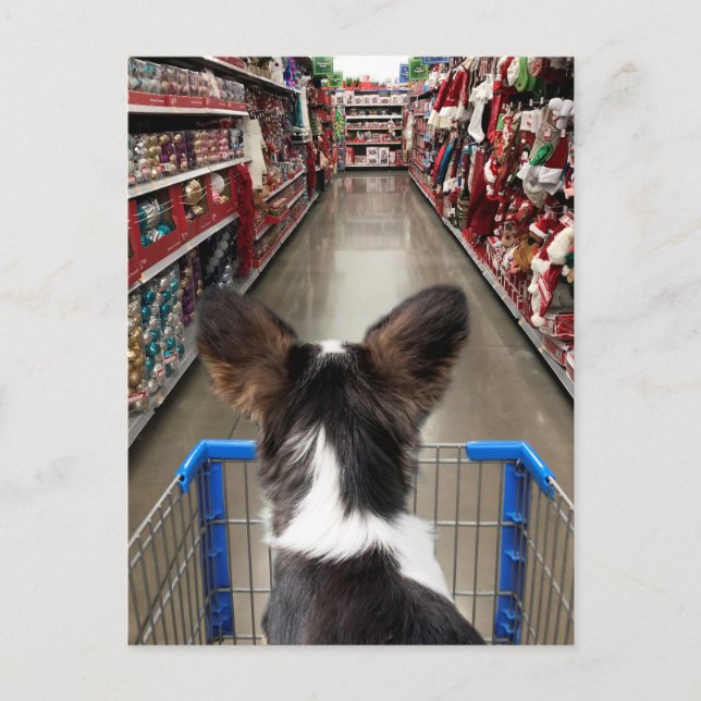 Weihnachts-Shopping Chihuahua Postkarte (Vorderseite)