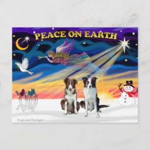 Weihnachts-Sonnenaufgang Border Collies (2 braune) Feiertagspostkarte
