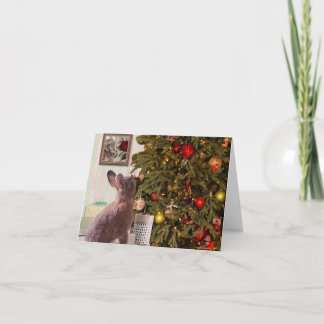 Weihnachts-Sonnendenken auf Mischief Feiertagskarte