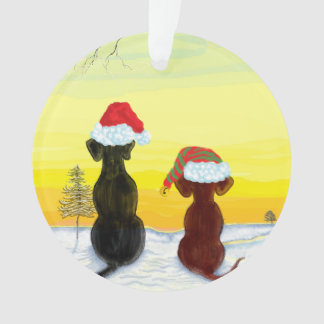 Weihnachts-Springador Ornament