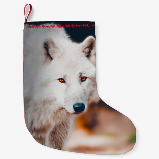 Weihnachts-Strumpf Mein alter Biber Kleiner Weihnachtsstrumpf (Vorderseite)