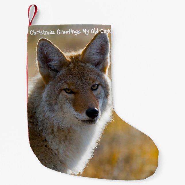 Weihnachts-Strumpf Mein alter Coyote Kleiner Weihnachtsstrumpf (Vorderseite)