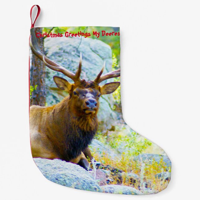 Weihnachts-Strumpf Mein alter Verdienst Kleiner Weihnachtsstrumpf (Vorderseite)