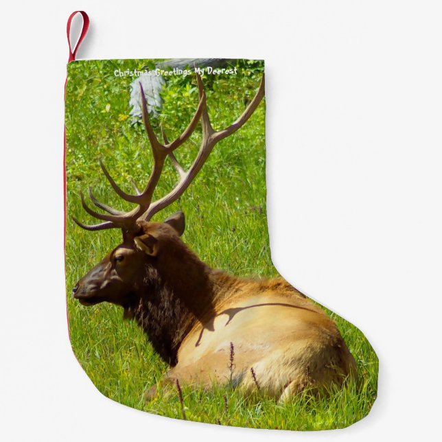 Weihnachts-Strumpf Mein alter Verdienst Kleiner Weihnachtsstrumpf (Vorderseite)