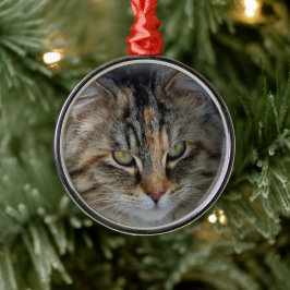 Weihnachts Tabby Cat Portrait Ornament Aus Metall