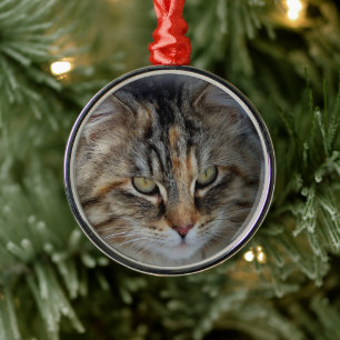 Weihnachts Tabby Cat Portrait Ornament Aus Metall