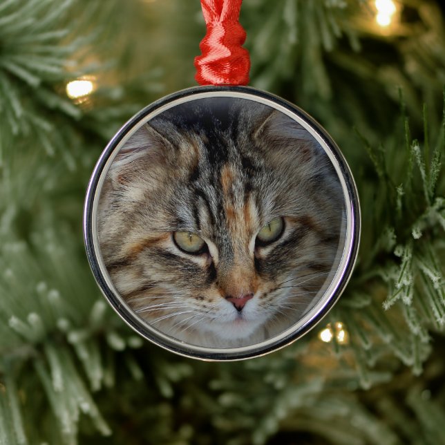 Weihnachts Tabby Cat Portrait Ornament Aus Metall (Baum)