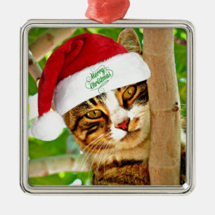 Weihnachts Tabby Katze in einem Baum Ornament Aus Metall