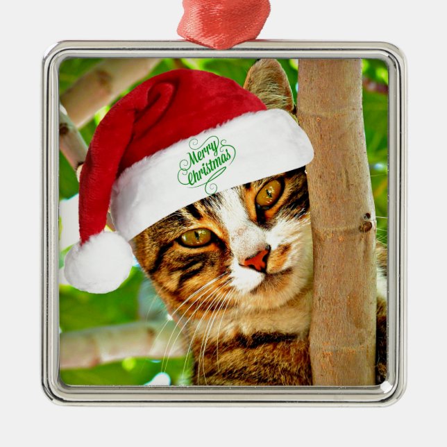 Weihnachts Tabby Katze in einem Baum Ornament Aus Metall (Vorne)