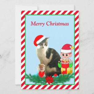 Weihnachts-Tabby-Kitzy-Katze, Engel und süßer Elf 