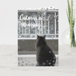 Weihnachts-Tabby Niedliche Katze in der Schneeschu Feiertagskarte