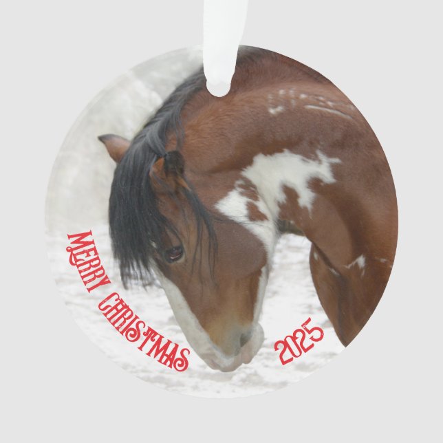 Weihnachts-Weihnachtsakrylus Ornament (Vorderseite)