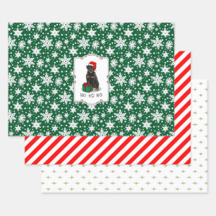 Weihnachts Weihnachtsmann Hat Rottweiler Dog Funny Geschenkpapier Set