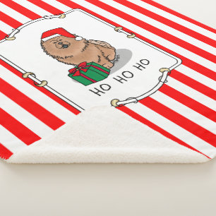 Weihnachts-Weihnachtsschmuck (Zimt) Niedlich Sherpadecke