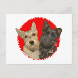 Weihnachts-Weizenrote und schwarze Scotties Feiertagspostkarte