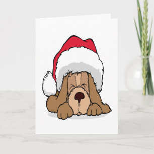 Weihnachts Welpe Santa Claus Hat Niedlichen Hund X Feiertagskarte