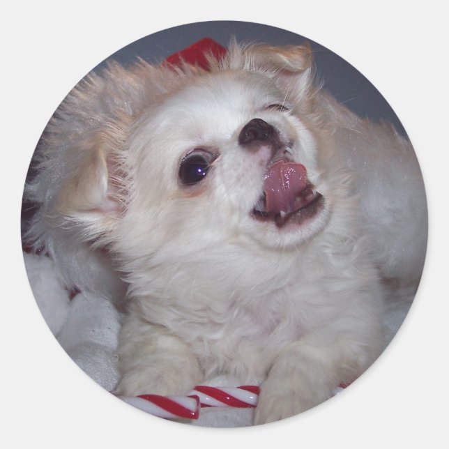 Weihnachts-Welpenhalter Runder Aufkleber (Vorderseite)
