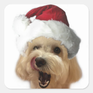 Weihnachts Welpensticker Blatt! Quadratischer Aufkleber