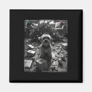 Weihnachts-Yorkshire-Terrier auf Kamera erwischt Magnet