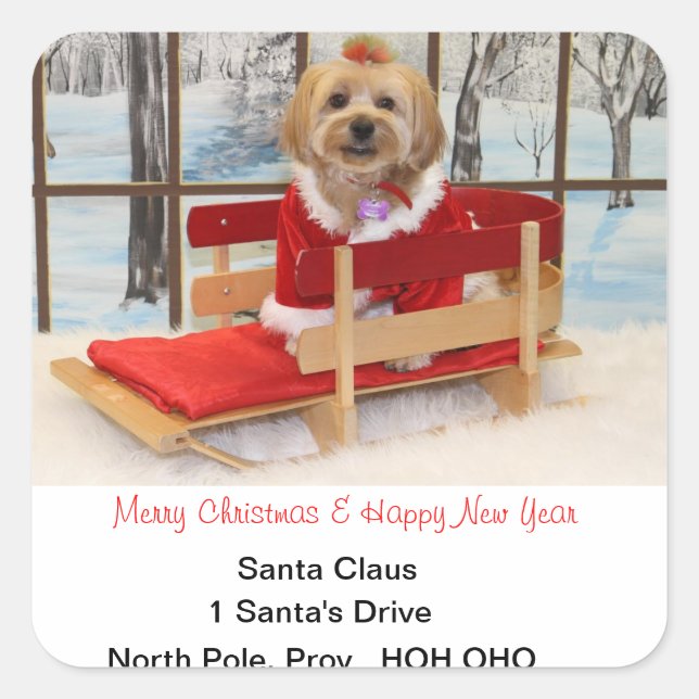 Weihnachtsadressen-Aufkleber Quadratischer Aufkleber (Vorderseite)