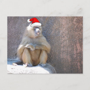 Weihnachtsaffen und Baboons Feiertagspostkarte
